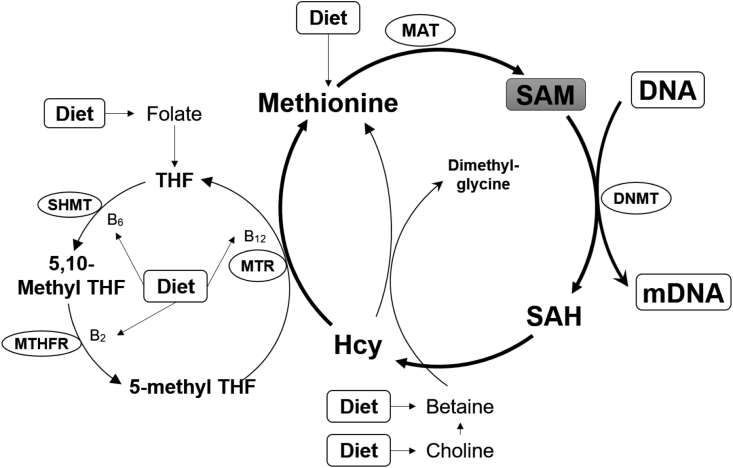 Fig. 3