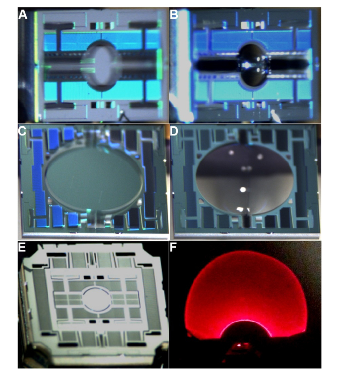 Fig. 11