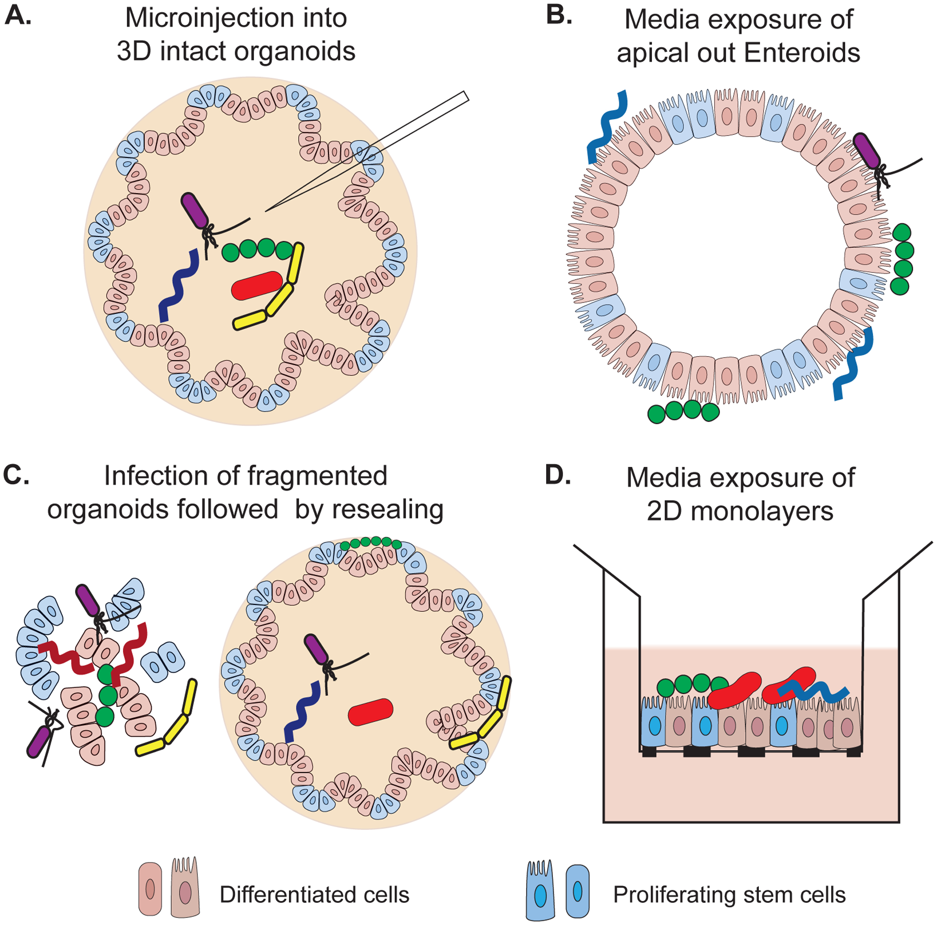 Figure 2: