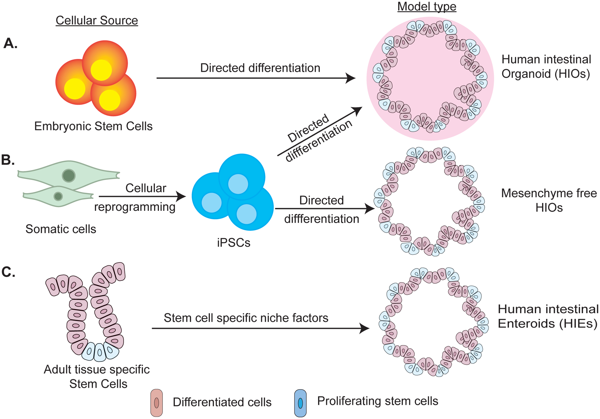 Figure 1: