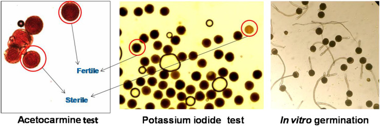 Figure 5