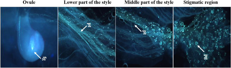 Figure 10