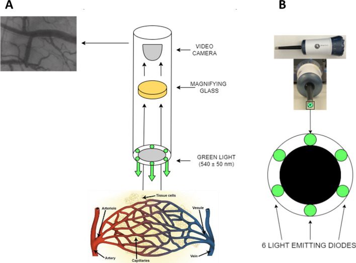 Fig. 1