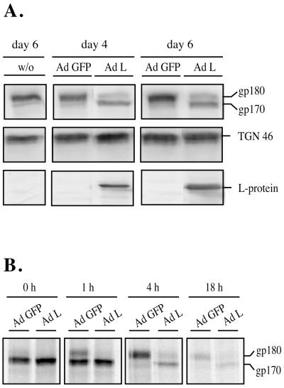 FIG. 5