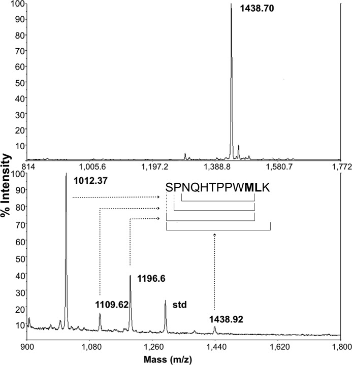 FIGURE 4.