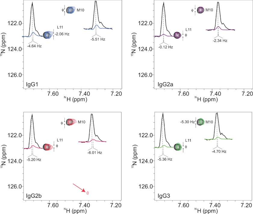 FIGURE 3.