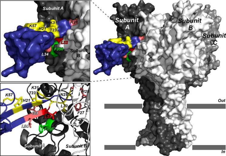 FIGURE 9.