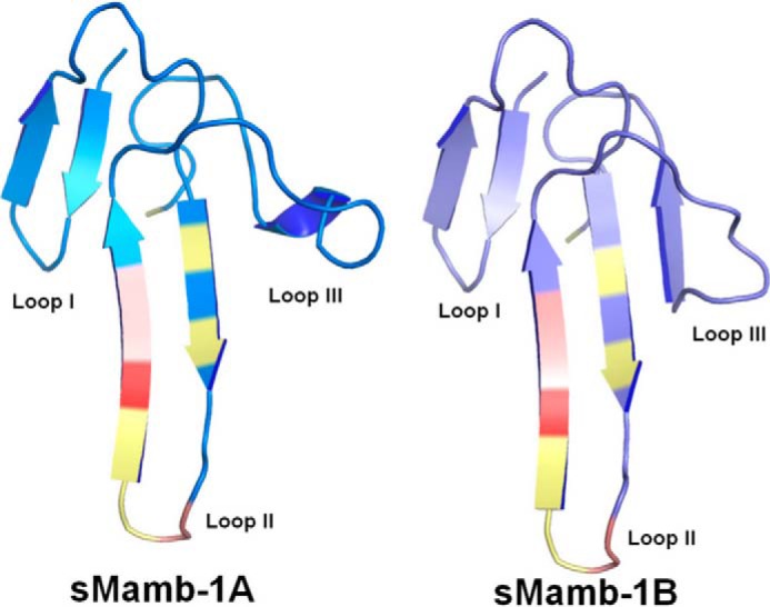 FIGURE 4.