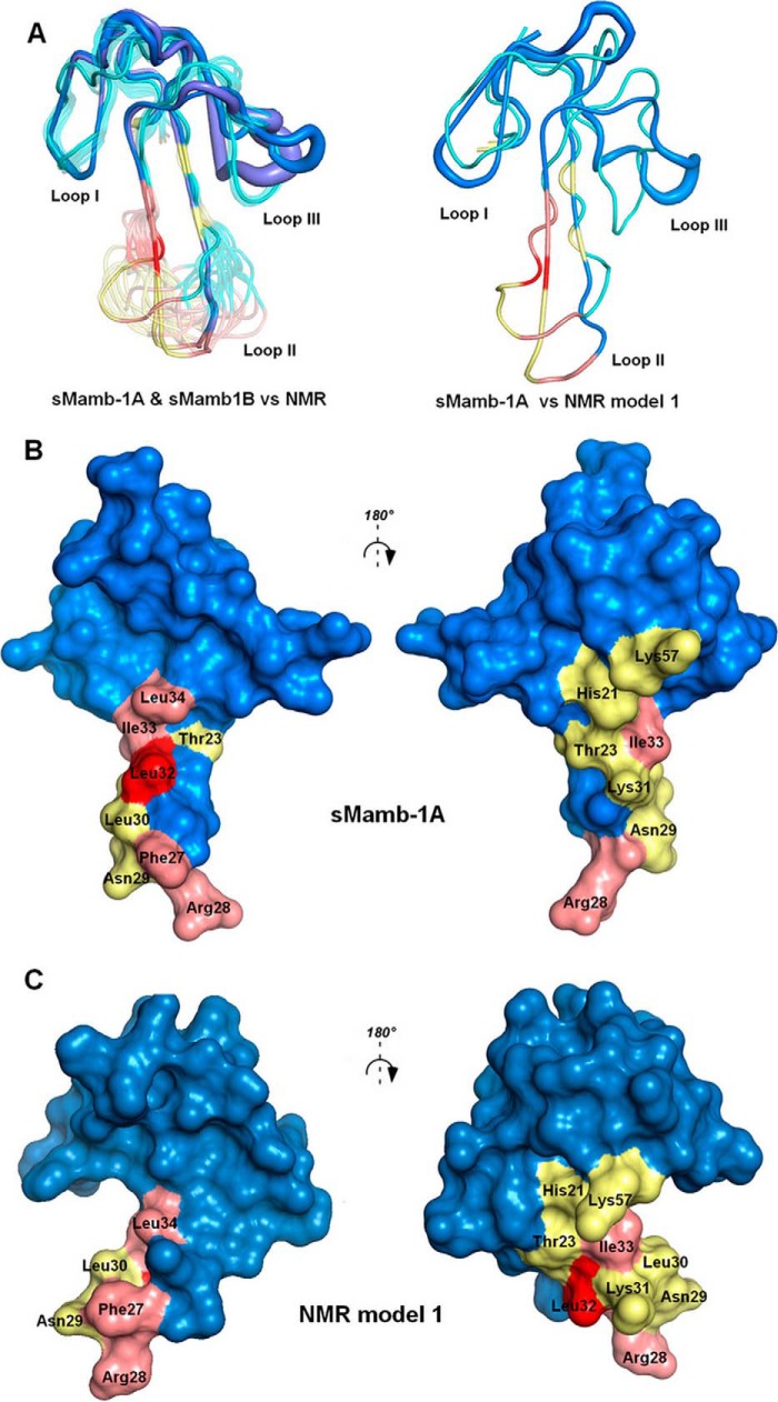 FIGURE 6.