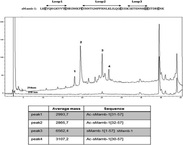 FIGURE 1.