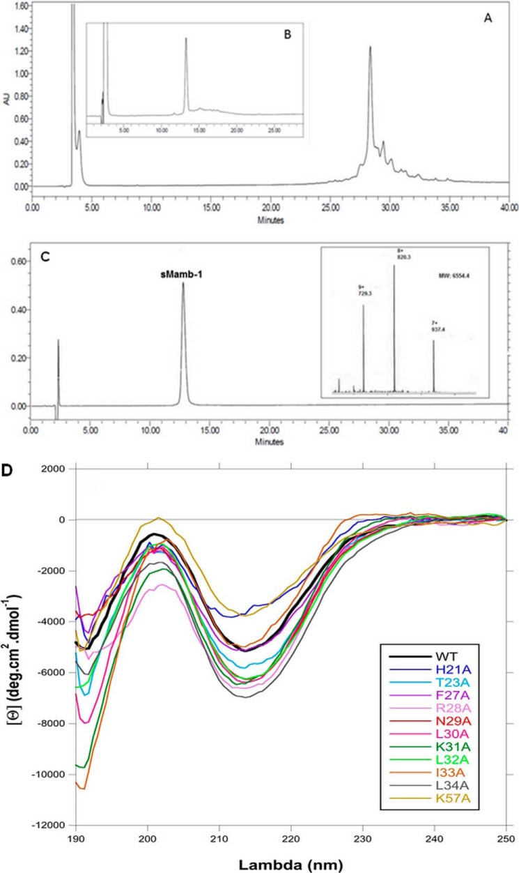 FIGURE 2.