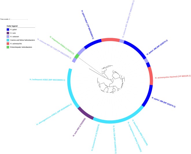 Figure 5