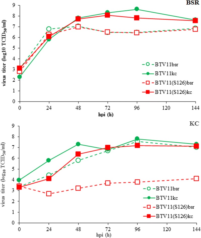 Fig. 4