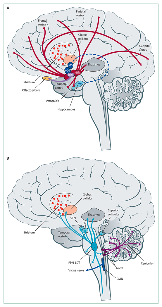 Figure 1: