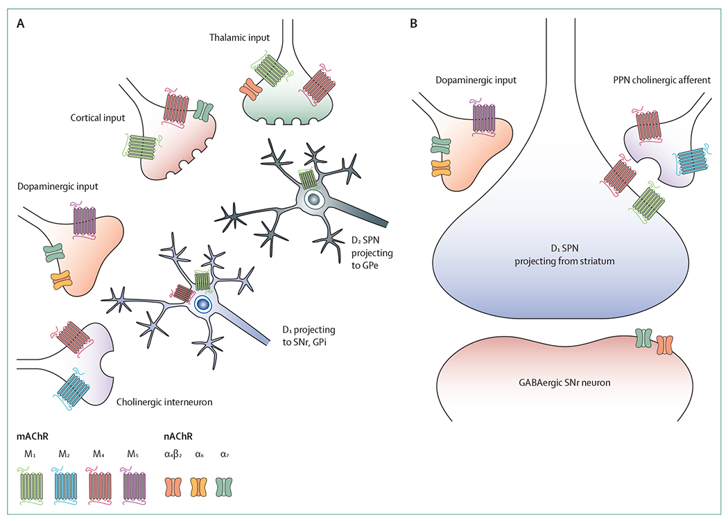 Figure 3: