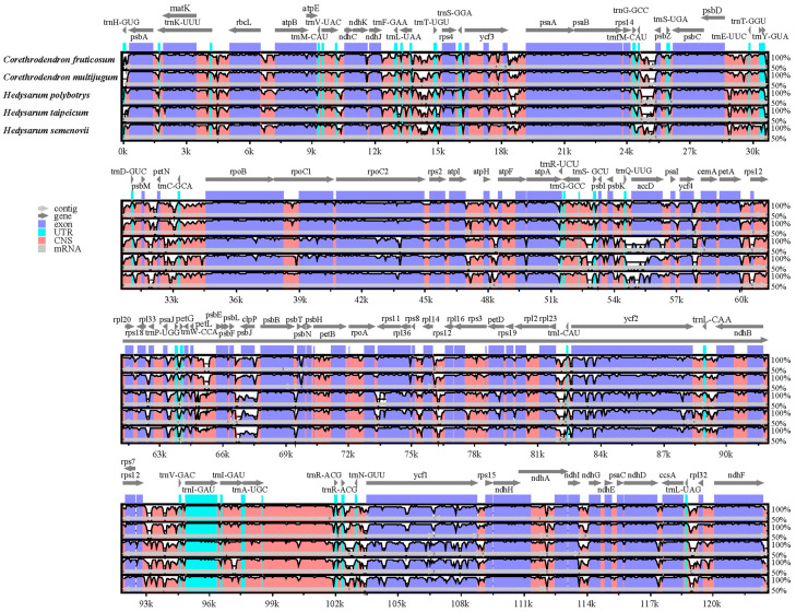 Figure 5