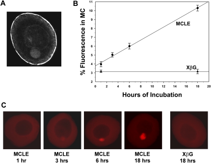 FIGURE 1.