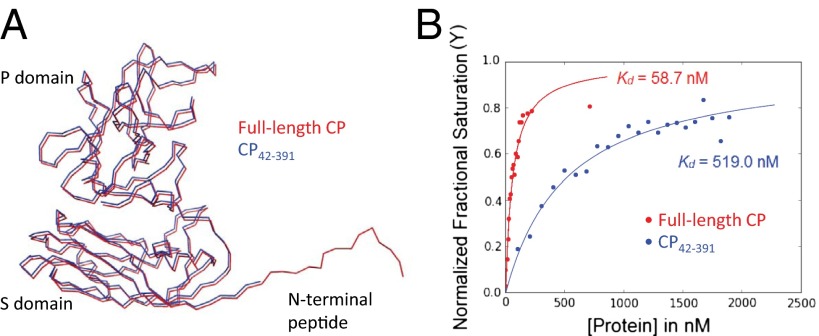 Fig. 5.