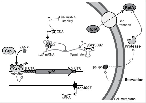 Figure 7.