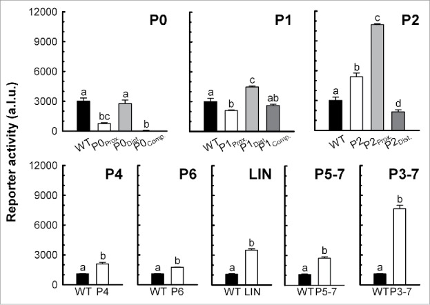 Figure 5.