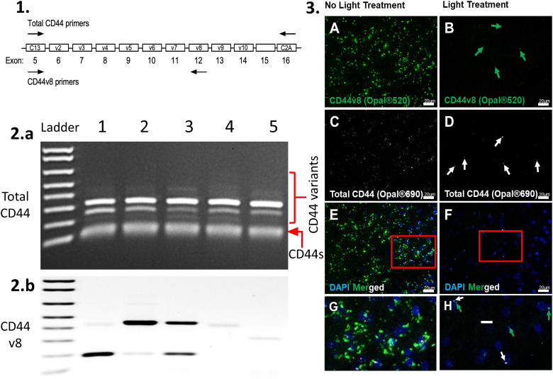 Figure 7.