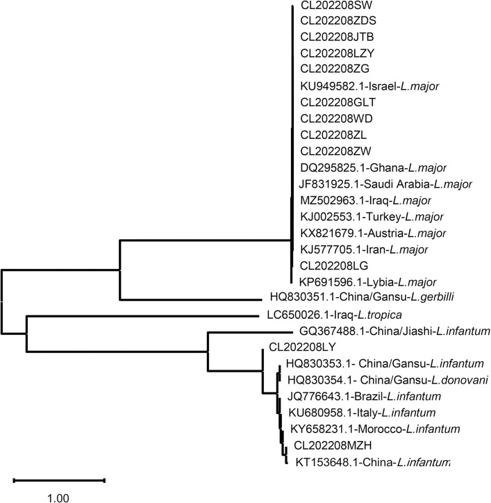 Fig 6