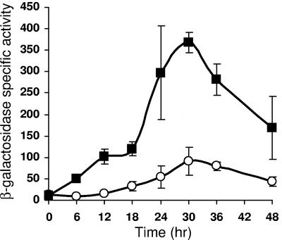 FIG. 1.