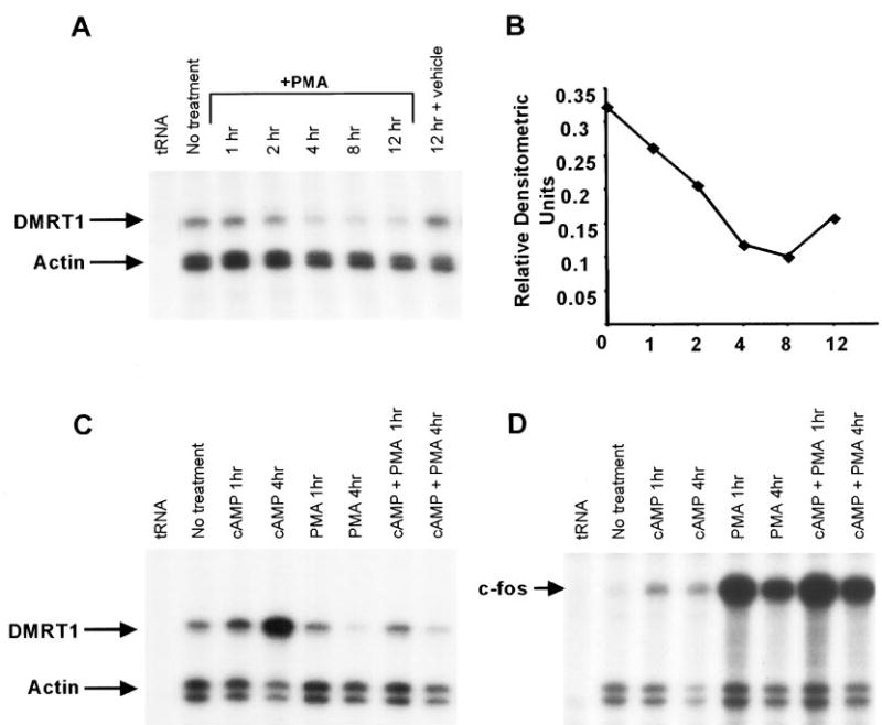 FIG. 7