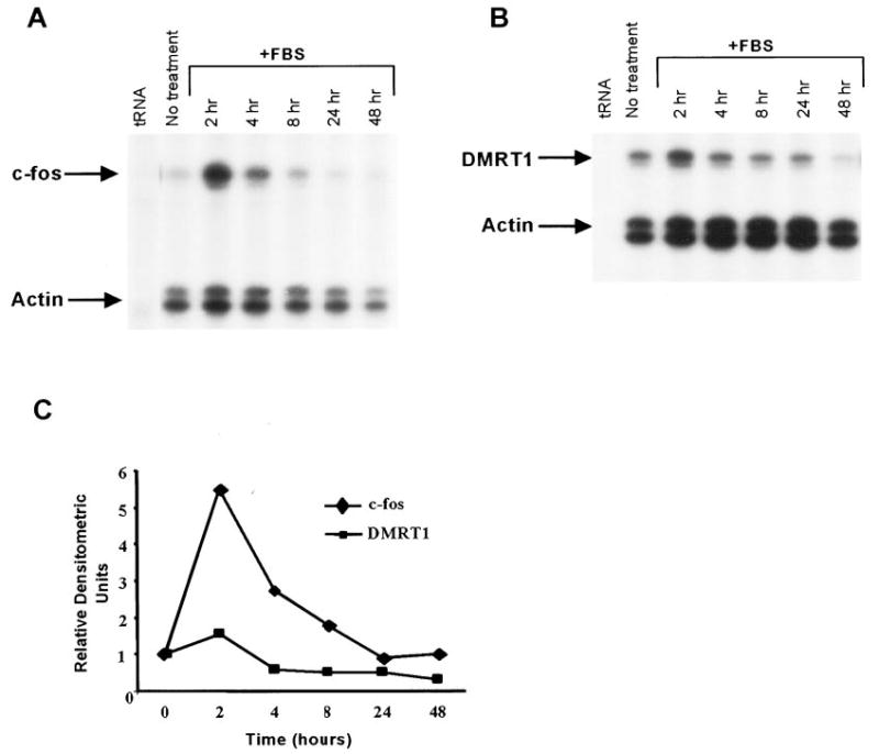 FIG. 9