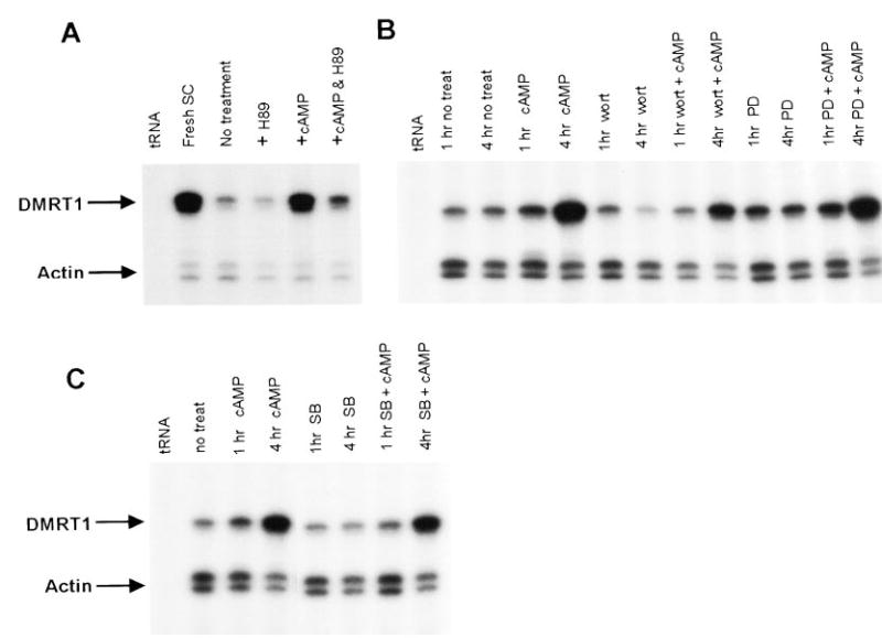 FIG. 6