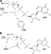 FIGURE 7.