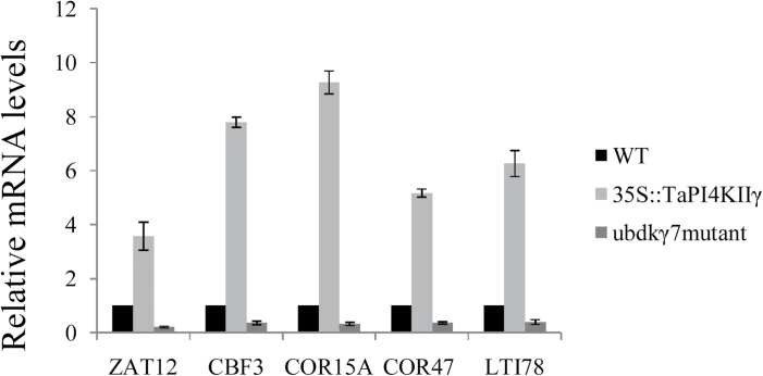 Fig. 9.