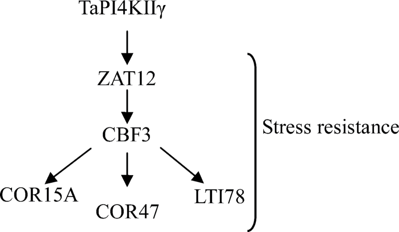 Fig. 10.