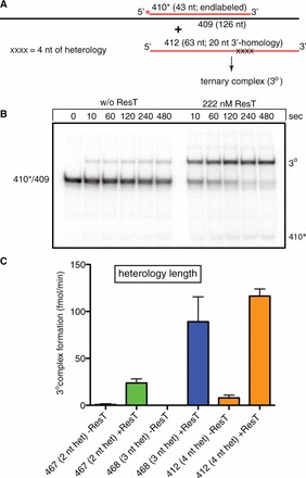 Figure 6.