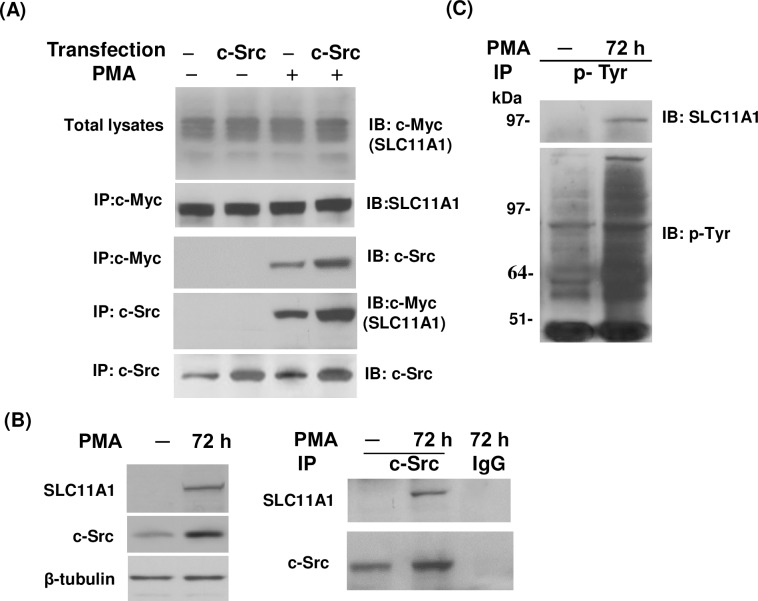 Fig 5