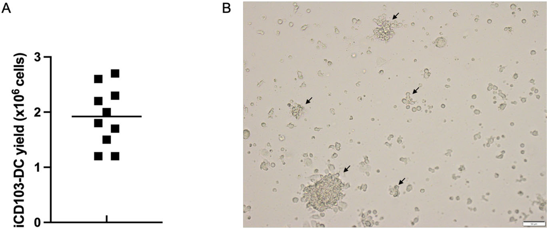 Figure 15.