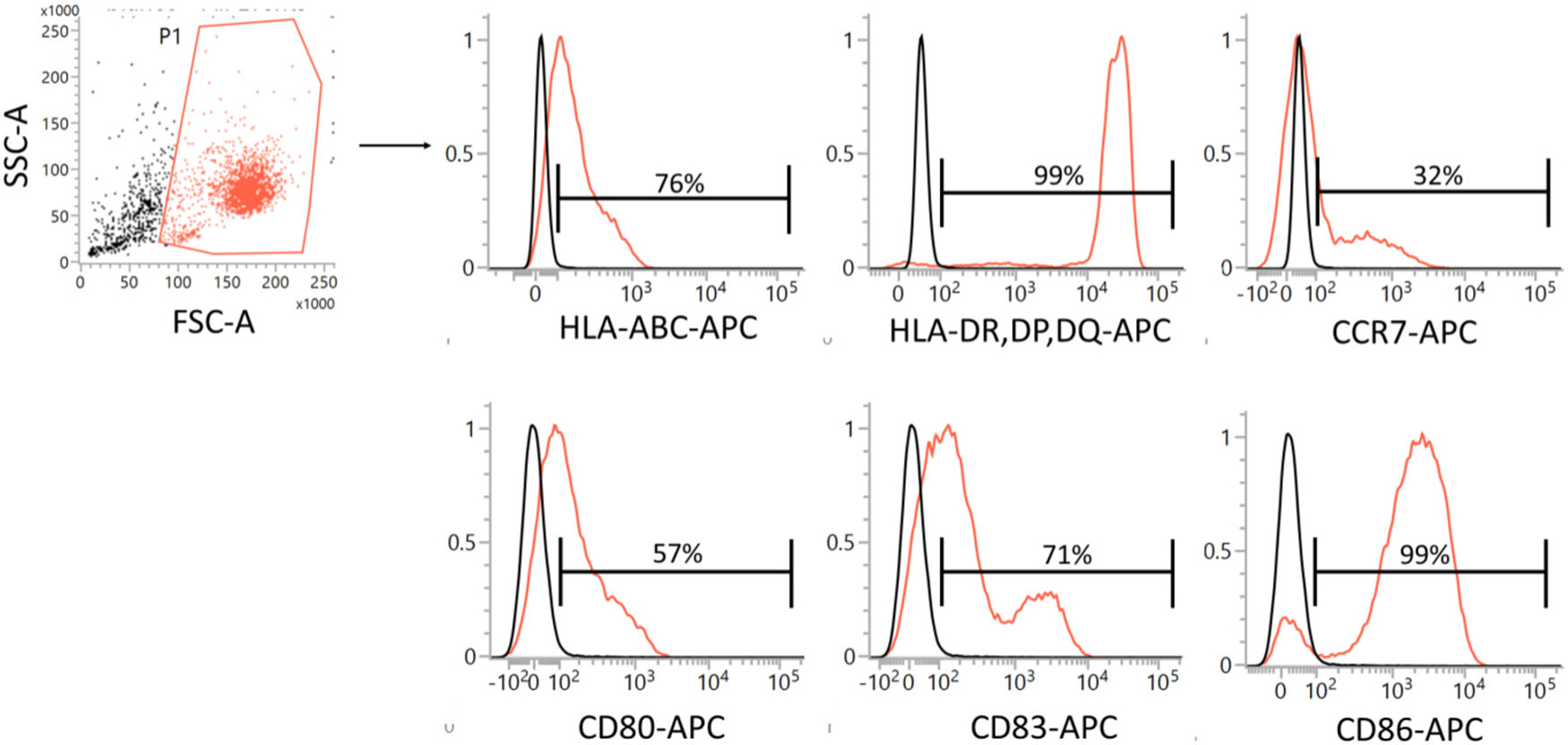 Figure 23.