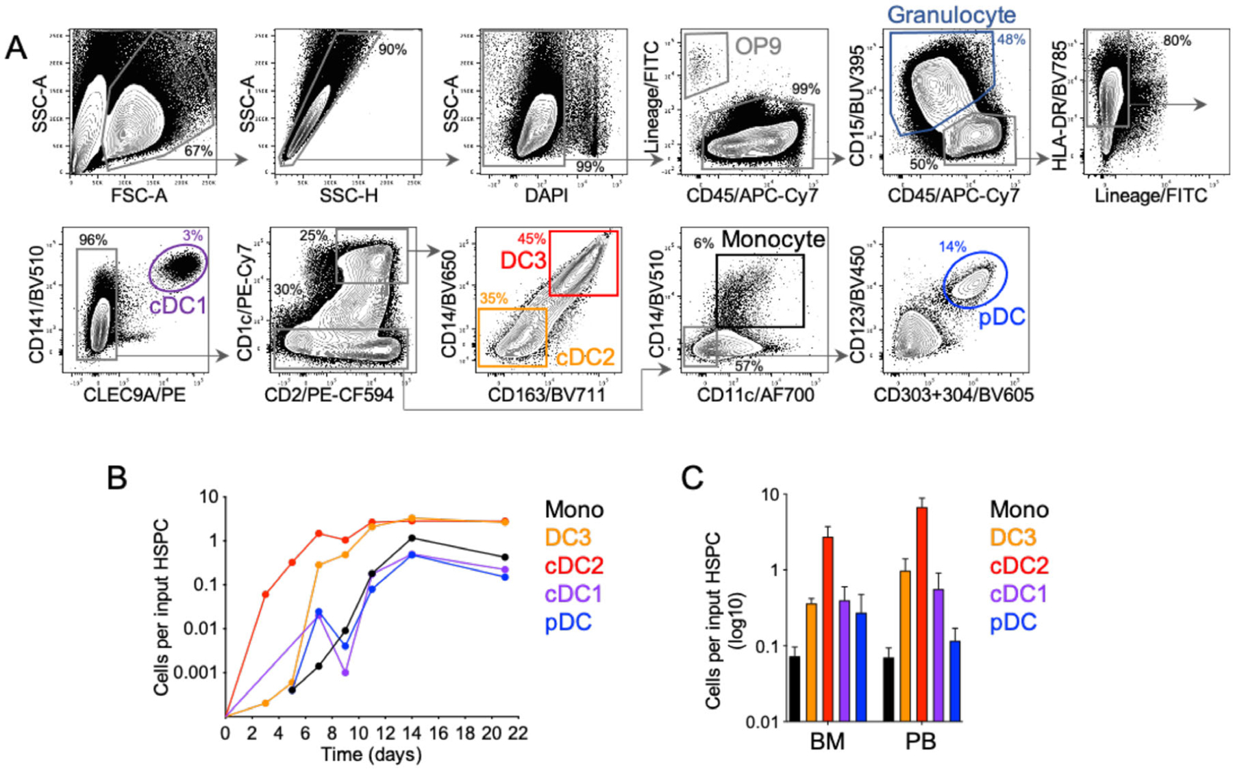 Figure 21.