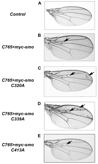 Fig. 4.