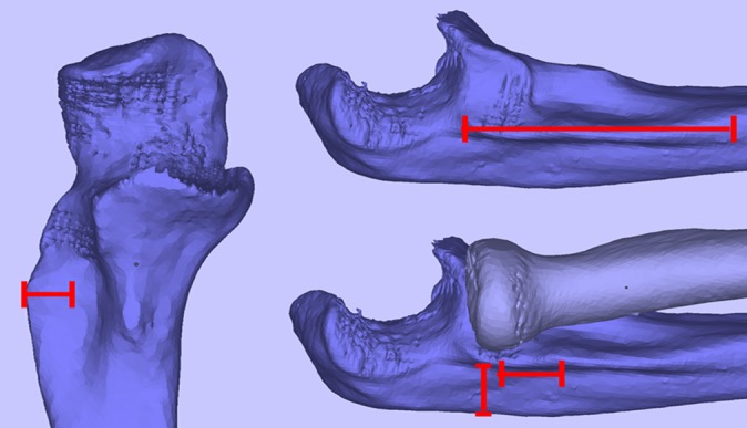 Figure 2.