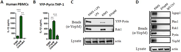 Fig 5