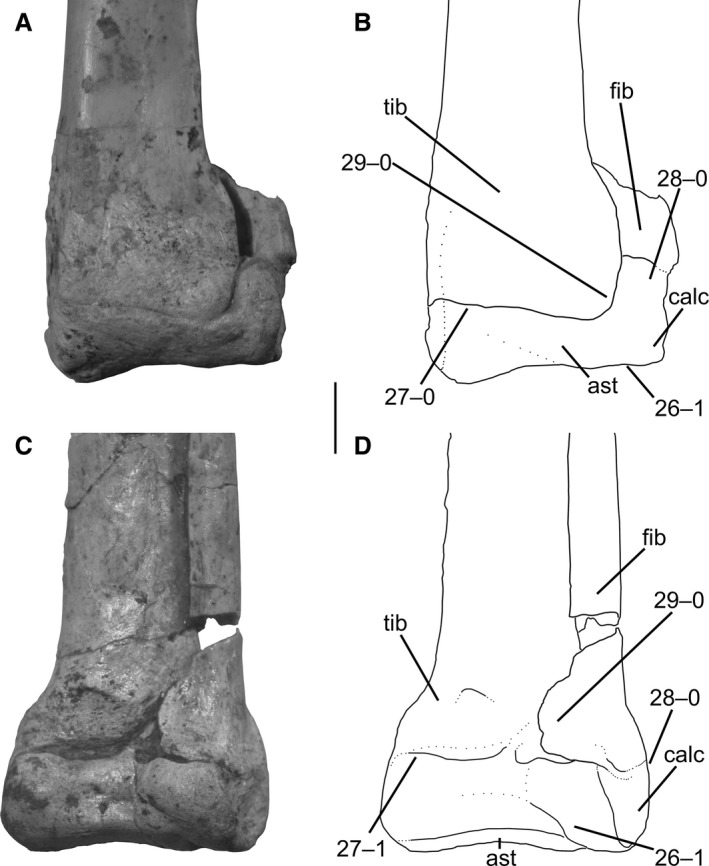 Figure 11