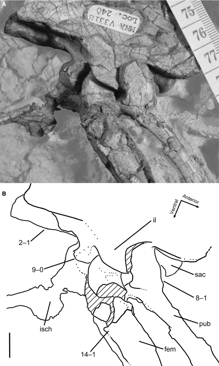 Figure 21