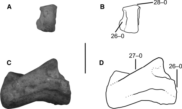 Figure 12