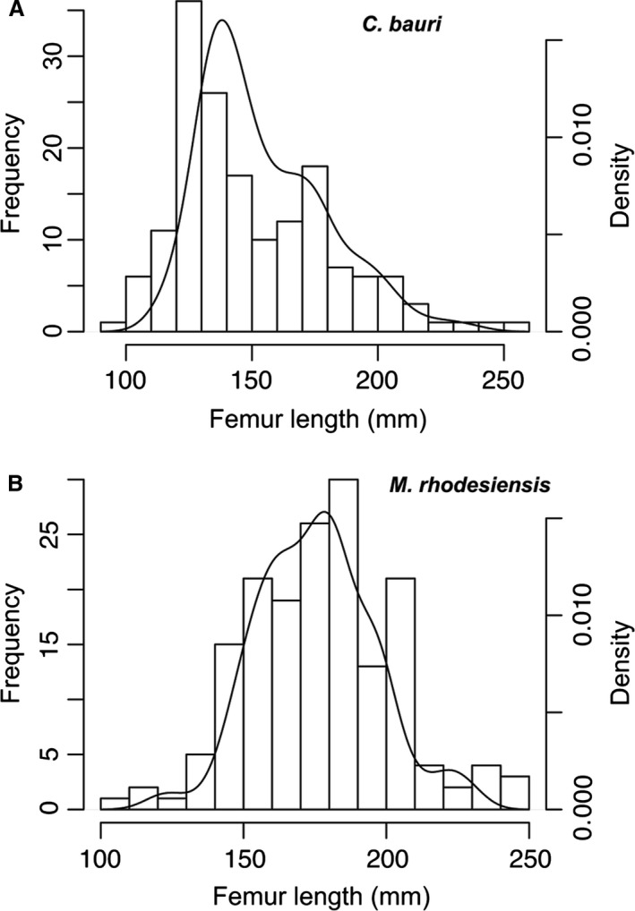 Figure 18