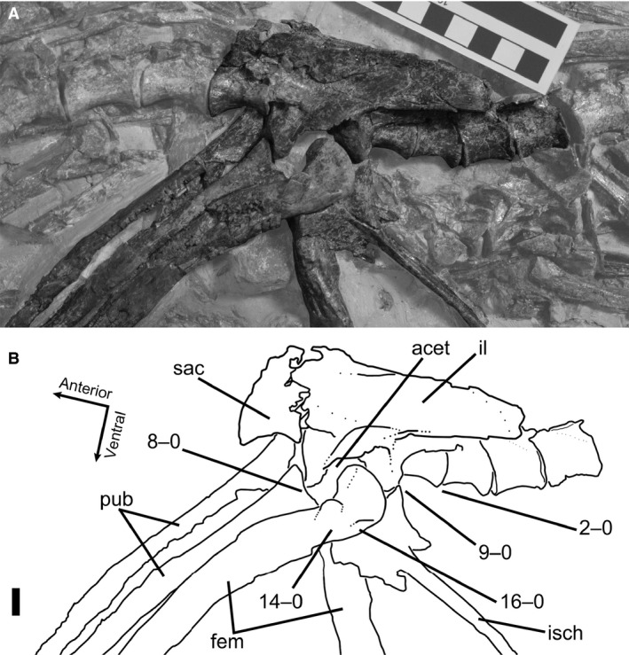 Figure 20