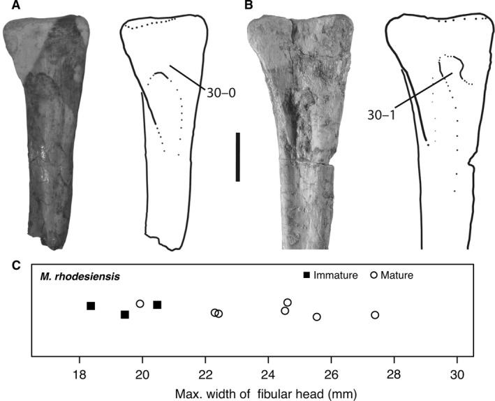 Figure 13