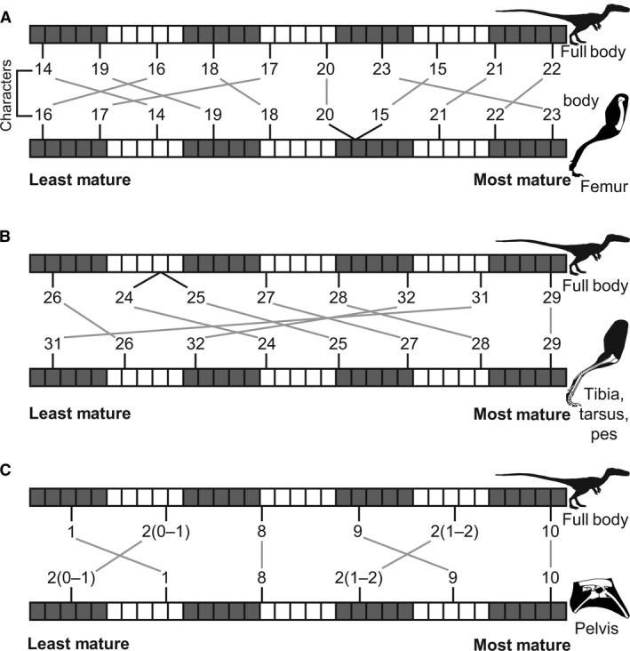 Figure 19