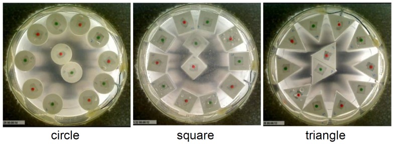 Figure 11