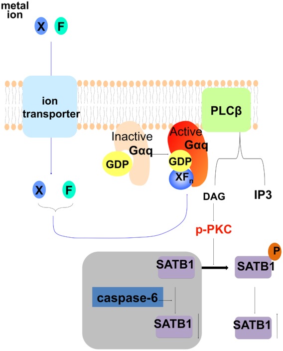 Figure 7